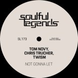 Tom Novy & Chris Trucher Feat. Twism - Not Gonna Let