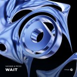 Manse & Fedo - Wait (Extended Mix)