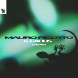 Mauro Picotto & Cafius - Iguana