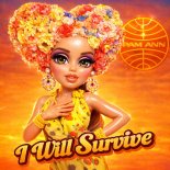 Pam Ann - I Will Survive