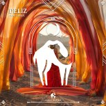 Anastassis, Cafe De Anatolia - Deliz (Original Mix)