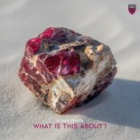 Robbie Rivera - What is This About