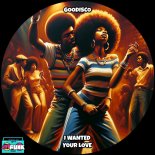 GooDisco - I Wanted Your Love (Extended Mix)
