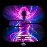 Lelleyn & Dymdan - Cool Support