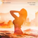 Melih Aydogan - The Boy Is Mine (T ONE Extended Remix)