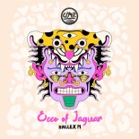 Hallex M - Ecco of Jaguar (Original Mix)