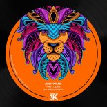 Josh Ward - First Class (Afernand Remix)