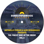 Antonello Ferrari - To The Limit (Antonello Ferrari & Aldo Bergamasco Funklicious Instrumental)