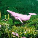 Jayda G - The Shiver