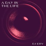 DJ Erv - The Surface (Main)