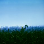 Duke Dumont - My Heart (Is Full Of Love)