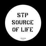 STP - The Safe House (Original Mix)