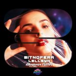 Bitnofera & Lelleyn - Atmosphere Factory