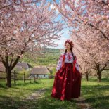 SPIRIT - Oh, in the cherry orchard