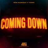 Rene Rodrigezz & Tommic - Coming Down