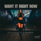 Dinardo & Dicheeko - Want It Right Now