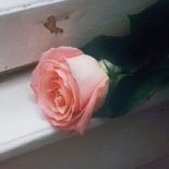 Planet Funk - The World's End