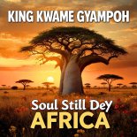 King Kwame Gyampoh - Soul Still Dey Africa