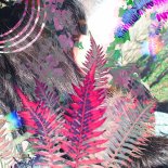 MGNA Crrrta - Pur Love