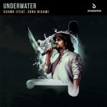 KSHMR feat. Sonu Nigam - Underwater