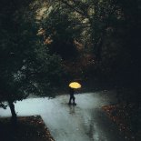 Hi-Fi Cali - Human Again