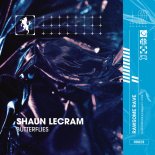 Shaun Lecram - Is This Euphoria