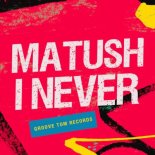 Matush - I Never (Edit Mix)