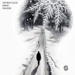 Starry Major and Cold Face - Snowflake (Extended Mix)