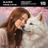 D.A.R.E - True Love (Andy Lizard Remix)