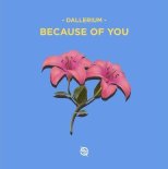 Dallerium - Because Of You