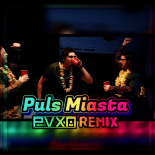 Polo Vibes - Puls Miasta (PVXN Remix) (PREVIEW)