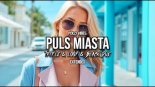 Polo Vibes - Puls Miasta (Tr!Fle & LOOP & Black Due EXTENDED REMIX)