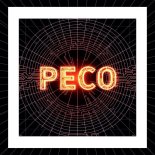 Peco - Best Dance Jan 2026 Set Mix 2026.01.28