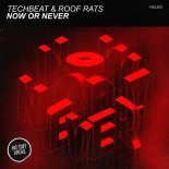 Roof Rats, Techbeat - Now or Never