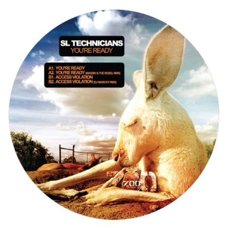SL Technicians - Acess Violation (Original Mix)