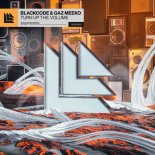 BlackCode & Gaz Meeko - Turn Up The Volume (Radio Edit)