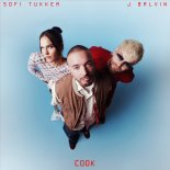 SOFI TUKKER & J Balvin - COOK (Original Mix)