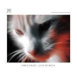 Smile Graft - Luup of Molo (Original Mix)