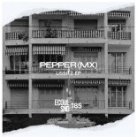 Pepper (MX) - Binary Motion