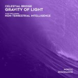 Celestial Bridge - Non-Terrestrial Intelligence