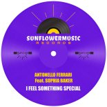 Antonello Ferrari & Sophia Baker - I Feel Something Special (Antonello Ferrari Club Mix)