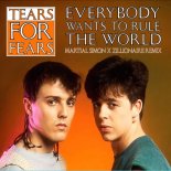 Tears For Fears - Everybody Wants To Rule The World (Martial Simon & Zillionare Remix)