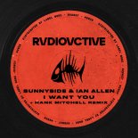 Sunnyside & Ian Allen - I Want You (Hank Mitchell Remix)
