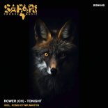 Rower (CH) - Tonight (Original Mix)