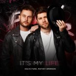 Kolya Funk & Matvey Emerson - It's My Life (Alex Shik Extended Mix)