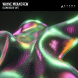 Wayne Mcandrew - Elements Of Life (Original Mix)