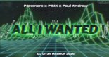 Paramore & P1NX & Paul Andrew & DJ KLEVEX - All l wanted (DJ LIT3K 2026 Mashup)