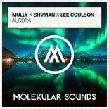 Mully & Shvman Feat. Lee Coulson - Aurora (Extended Mix)