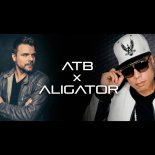 ATB x DJ Aligator - The Summer x The Whistle Song (Æ Slap House Mashup 2026)