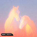 Hamidshax - Hello My Love